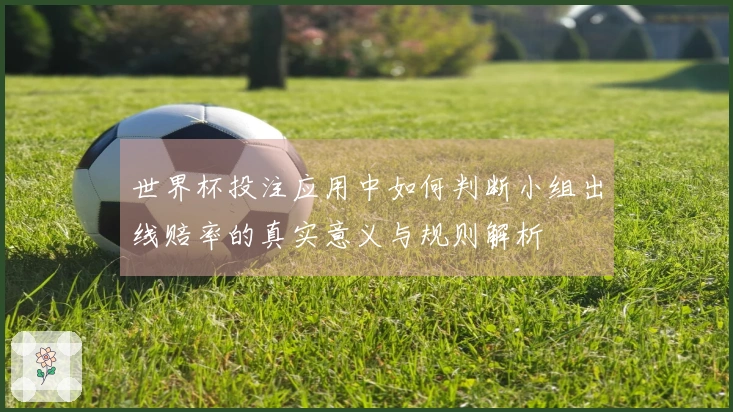 世界杯投注应用中如何判断小组出线赔率的真实意义与规则解析