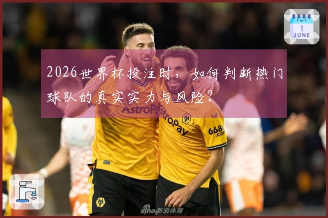 2026世界杯投注时，如何判断热门球队的真实实力与风险？