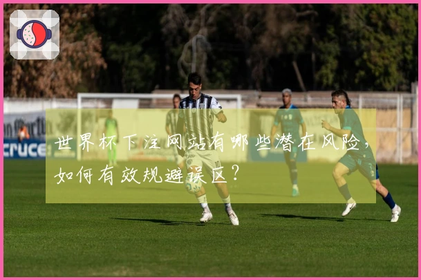 世界杯下注网站有哪些潜在风险，如何有效规避误区？