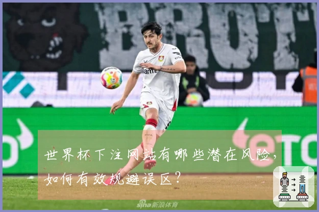 世界杯下注网站有哪些潜在风险，如何有效规避误区？